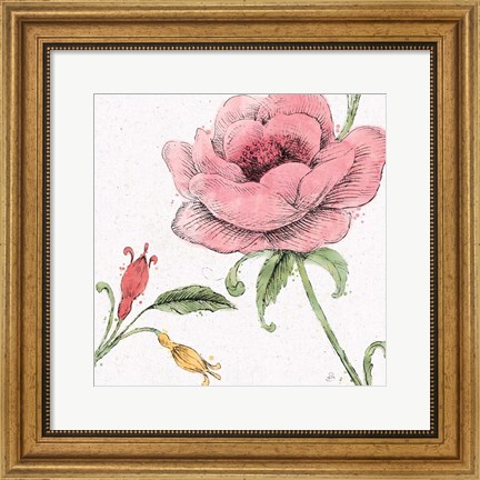 Framed Blossom Sketches II Color Print