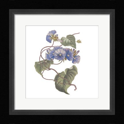 Framed Monument Etching Tile Flowers I Print