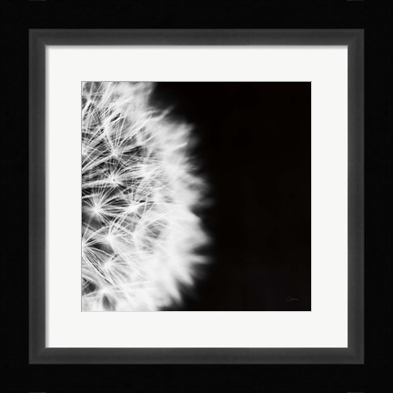 Framed Dandelion on Black II Print