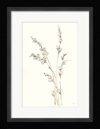 Framed Pussy Willows IV Print