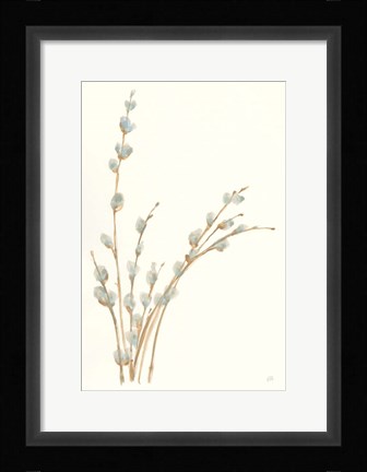 Framed Pussy Willows III Print