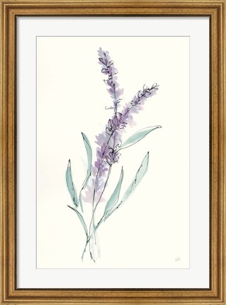 Framed Lavender IV Print