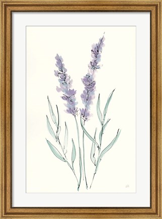Framed Lavender III Print