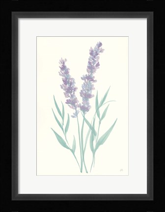 Framed Lavender I Print