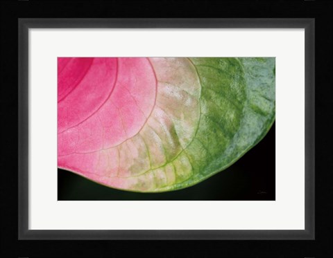 Framed Pink and Green Print