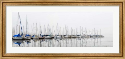 Framed Sailing Boats Panel Print