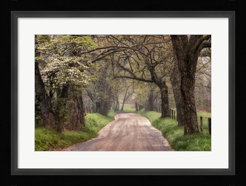 Framed Nature Trail Walks Print