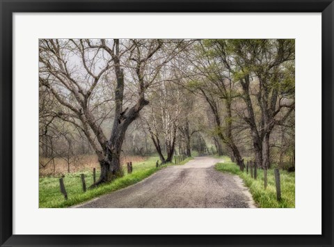 Framed Late Afternoon Walk Print