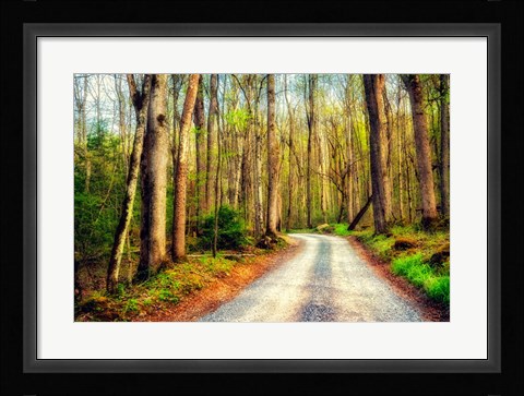 Framed Wood Path Print