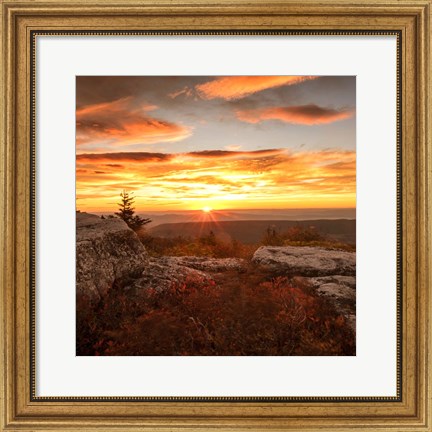 Framed Peaceful Sunset Print