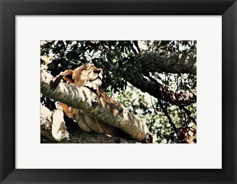 Framed Lion Tree Print