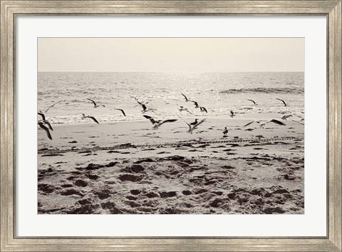 Framed Dream of the Beach I Print