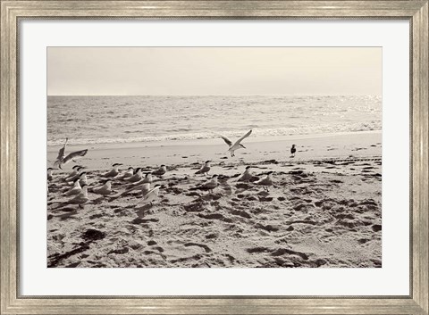 Framed Dream of the Beach II Print