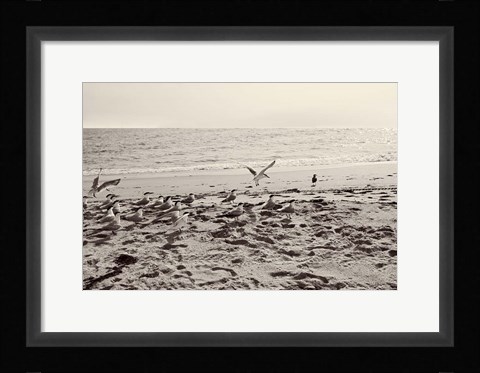 Framed Dream of the Beach II Print