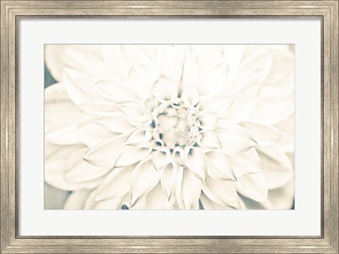 Framed Bright White Bloom I Print