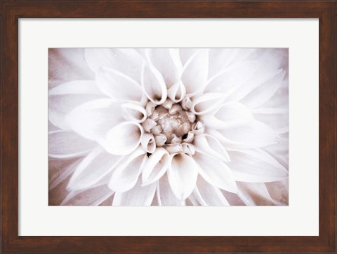 Framed Bright White Bloom II Print
