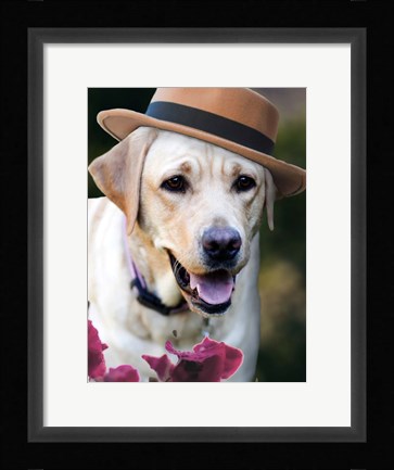 Framed Dapper Dog Print