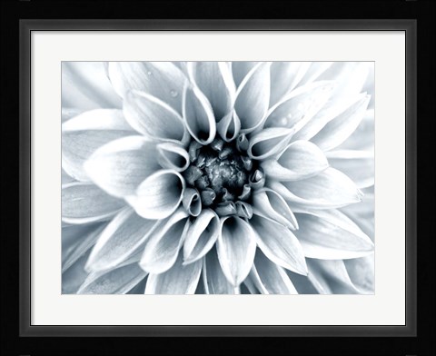 Framed Bright White Bloom Print
