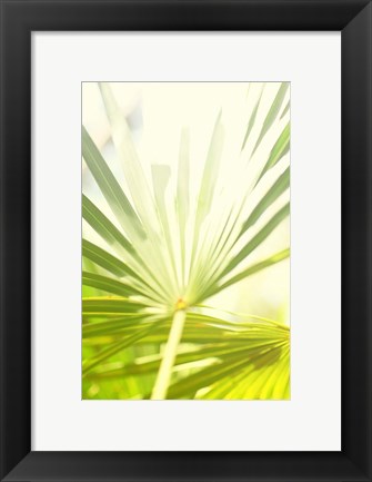 Framed Among Palms I Print