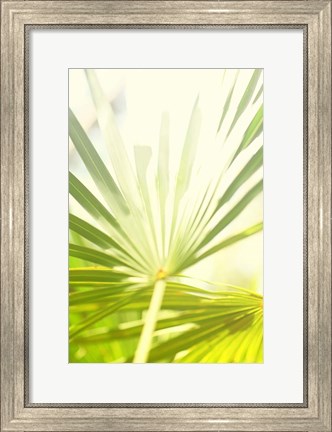 Framed Among Palms I Print