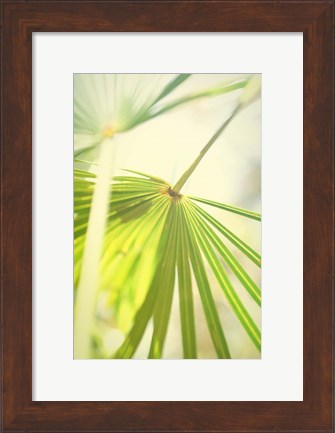 Framed Among Palms II Print