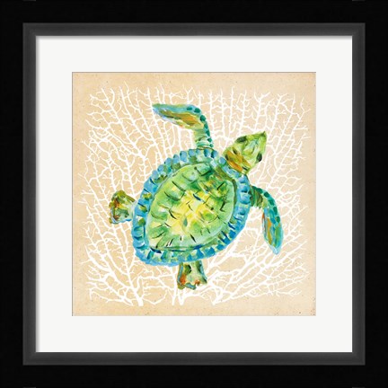 Framed Sealife Turtle Print