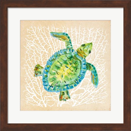 Framed Sealife Turtle Print