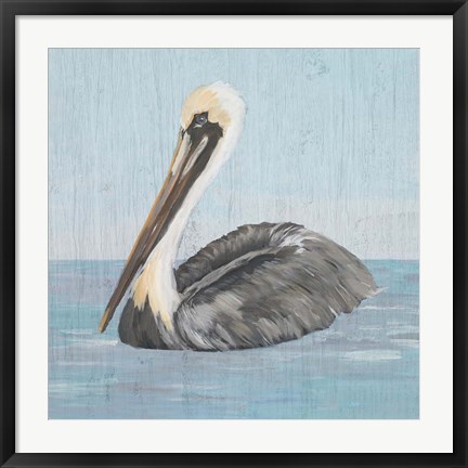 Framed Pelican Wash I Print