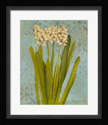 Framed Hyacinth on Teal II Print