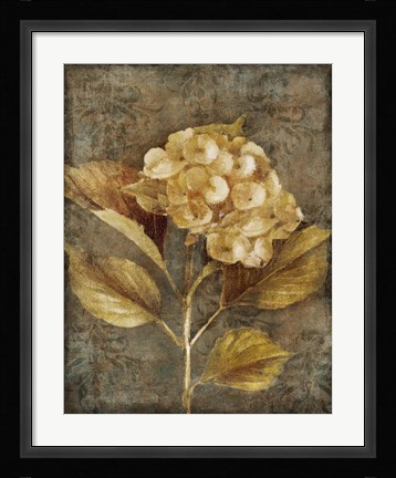 Framed Antique Hydrangea I Print