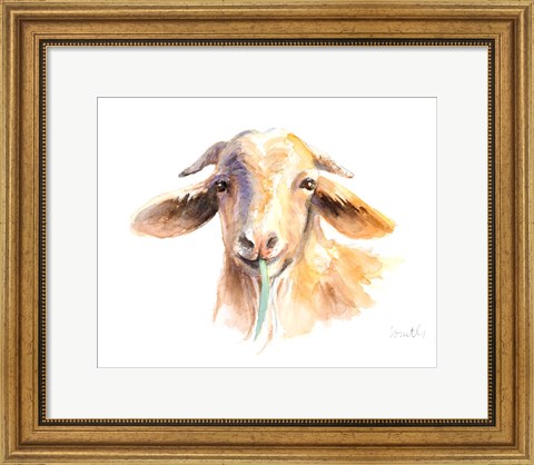 Framed Goat IV Print