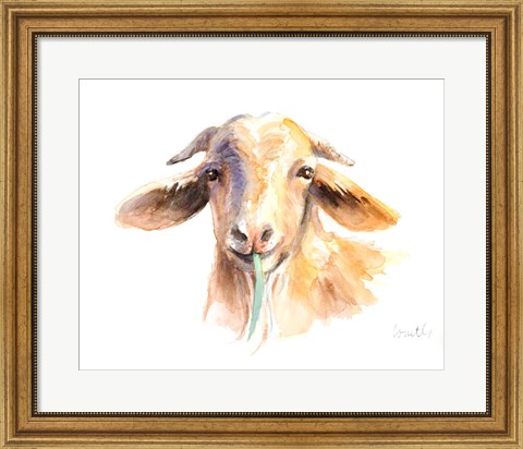 Framed Goat IV Print