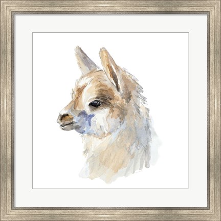Framed Side Portrait Llama Print