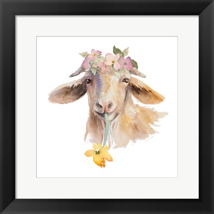 Framed Flower Goat Print