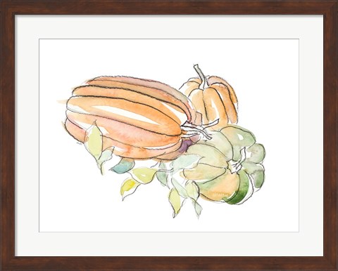 Framed Harvest Pumpkin and Squash I Print