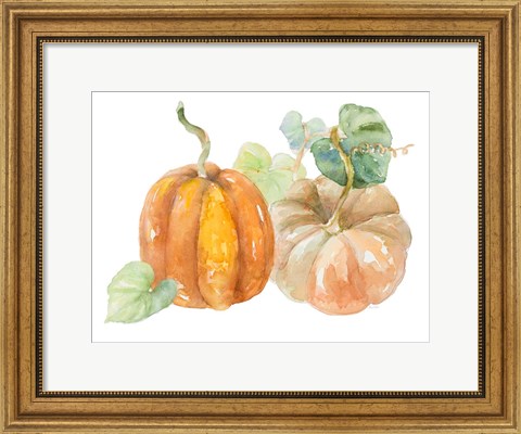 Framed Pumpkin Harvest I Print