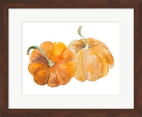 Framed Pumpkin Harvest II Print