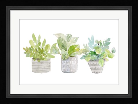 Framed Decorative Plant Arrangement II Print