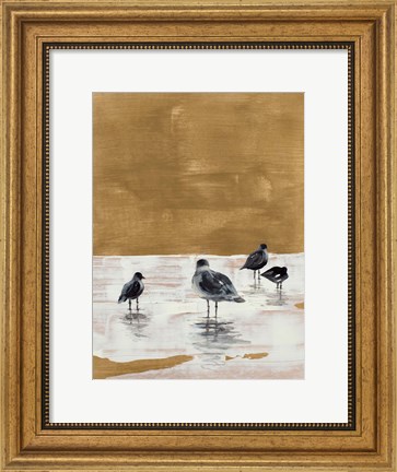 Framed Seagulls Chillin&#39; Print