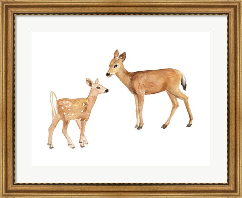 Framed Two Young Deer Print