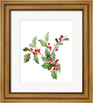 Framed Holly Branches II Print