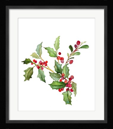 Framed Holly Branches II Print