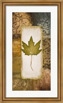 Framed Single Leaf II Print