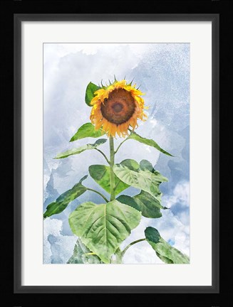 Framed Summer Sunflower Print