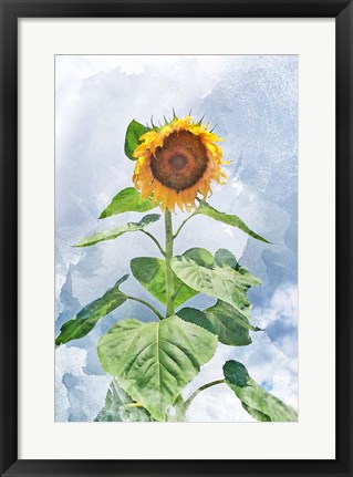 Framed Summer Sunflower Print
