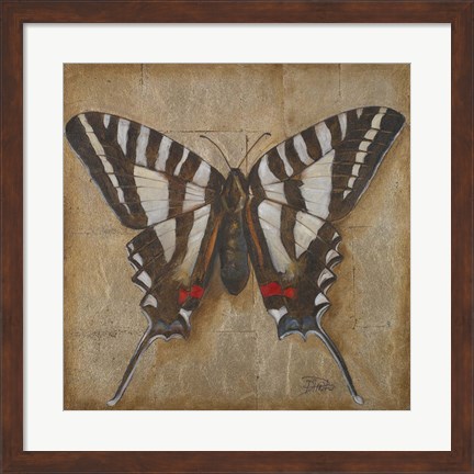 Framed Butterfly I Print