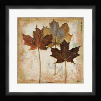 Framed Natural Leaves III Print