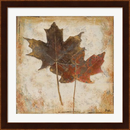 Framed Natural Leaves IV Print