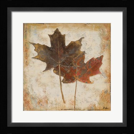Framed Natural Leaves IV Print