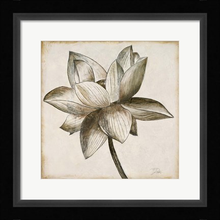 Framed Sepia Lotus I Print
